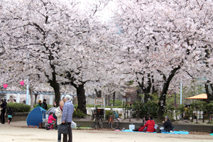 そだてるより徒歩5分の公園