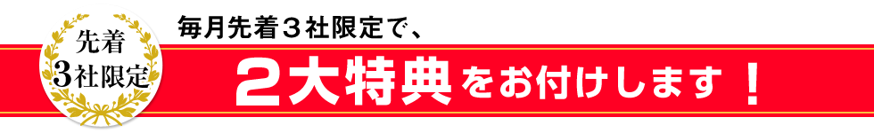 当研修にお申込みいただいた企業様の中から【毎月 先着３社限定】で、以下の特典を付けさせていただいております。